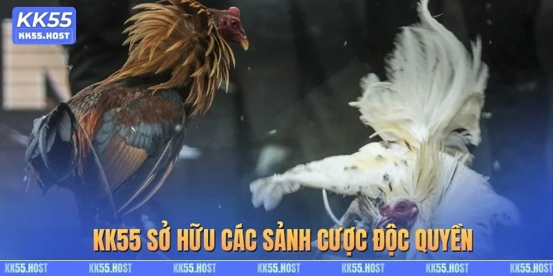 KK55 sở hữu các sảnh cược độc quyền